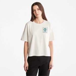 Timberland Graphic Albi | SN-TBL46472