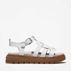 Timberland Greenstride Albi | SN-TBL46350