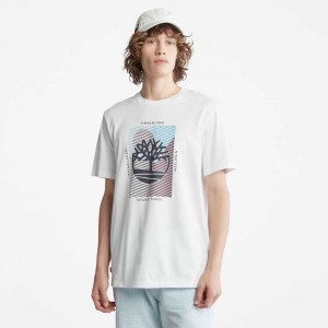 Timberland Tree Logo Albi | SN-TBL46132