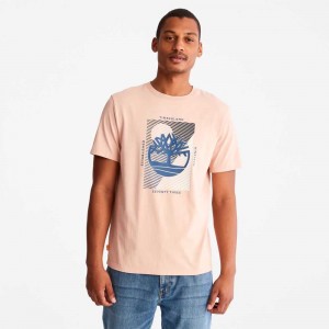 Timberland Tree Logo Roz | SN-TBL46133
