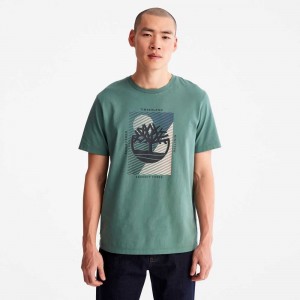 Timberland Tree Logo Verzi Inchis | SN-TBL46131