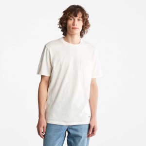 Timberland Utility Albi | SN-TBL46137