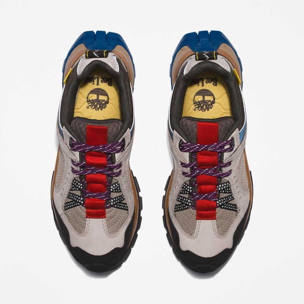 Timberland Bee Line Colorati | SN-TBL46380