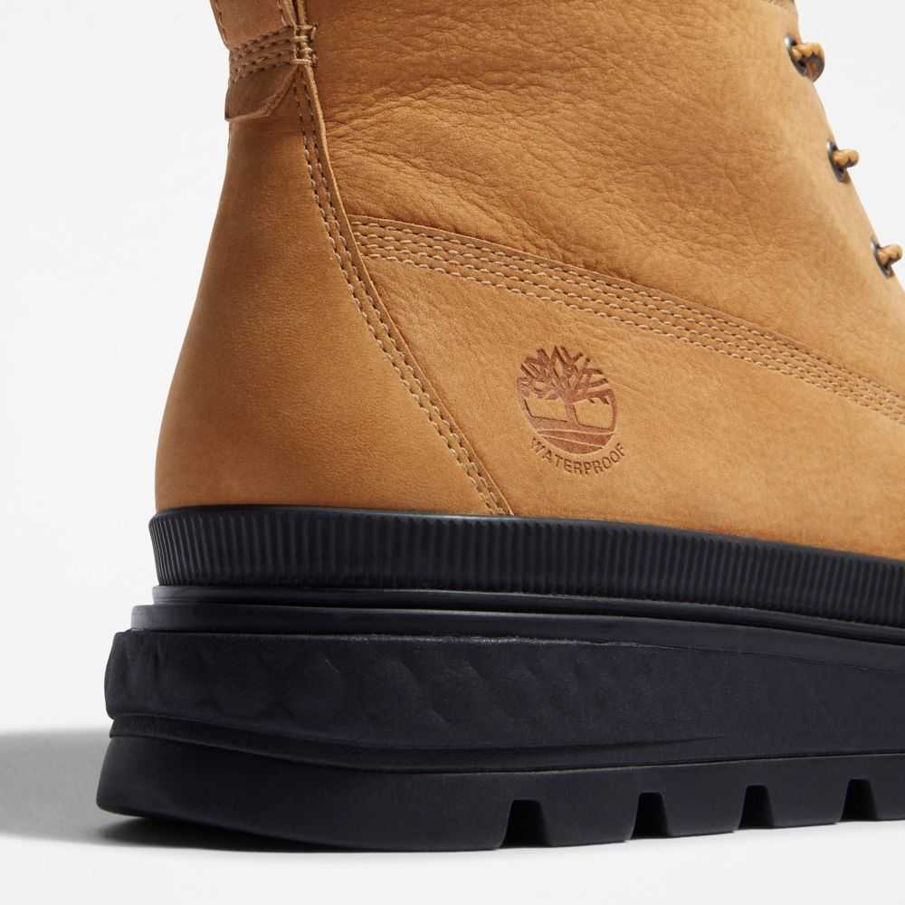 Timberland Greenstride Maro | SN-TBL46440