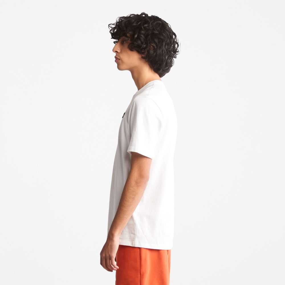 Timberland Heavyweight Albi | SN-TBL46513