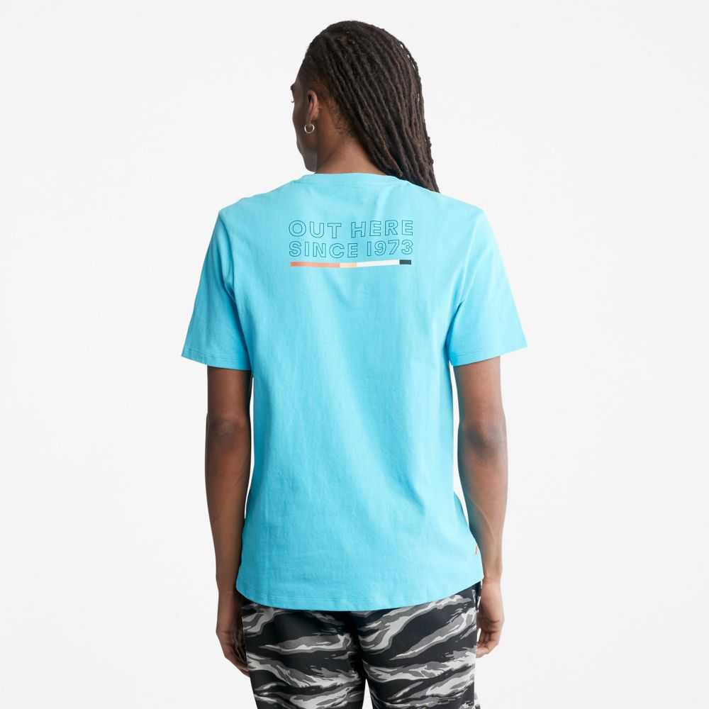 Timberland Organic Cotton Albastri | SN-TBL46130
