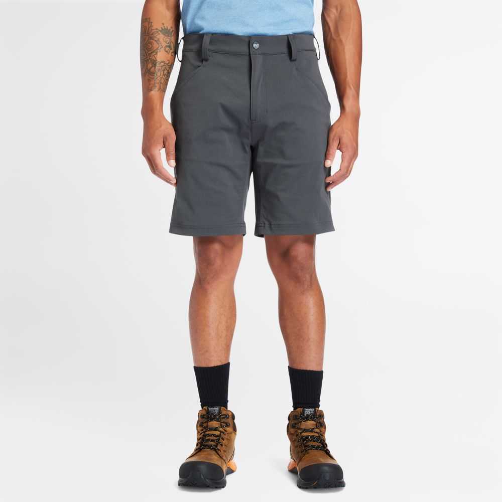 Timberland Timberland Pro® Gri | SN-TBL46025