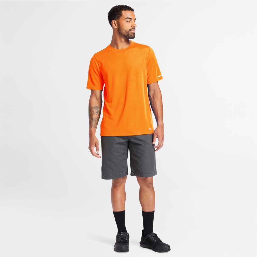 Timberland Timberland Pro® Portocalii | SN-TBL45998