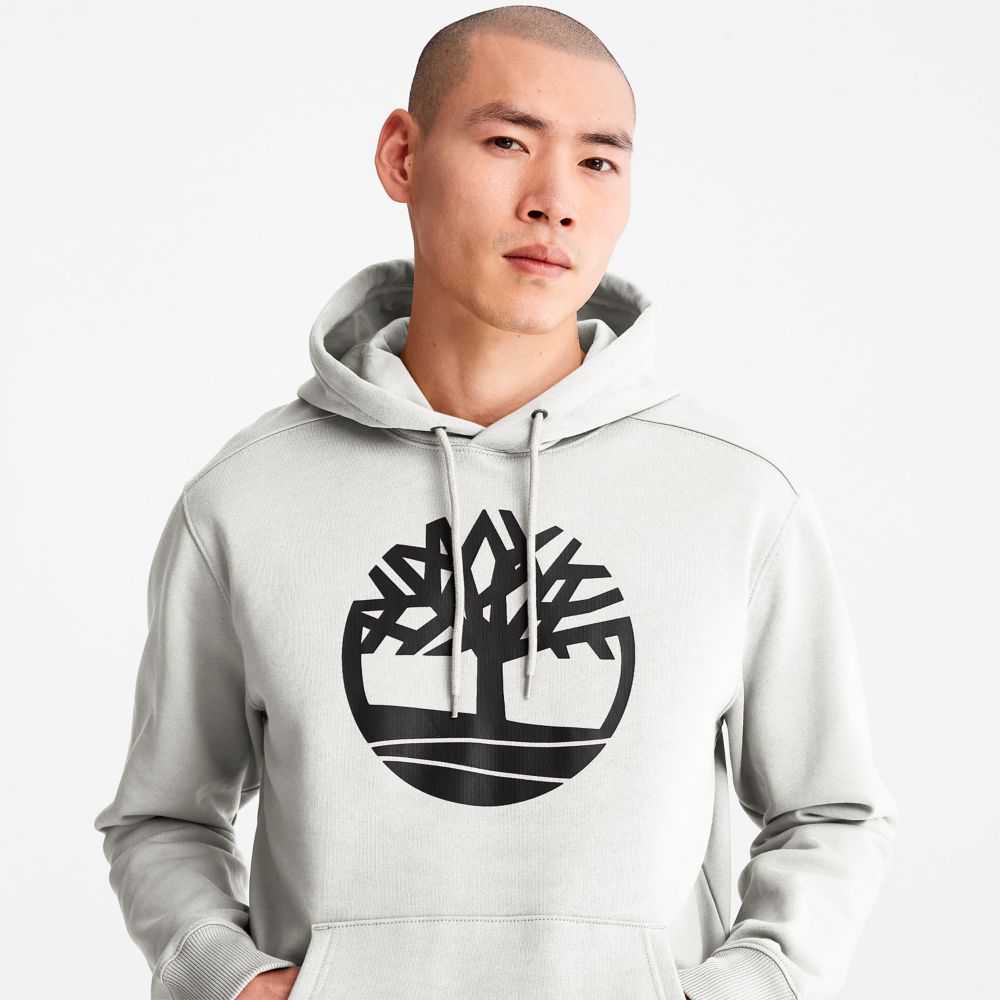 Timberland Tree Logo Albi | SN-TBL46175