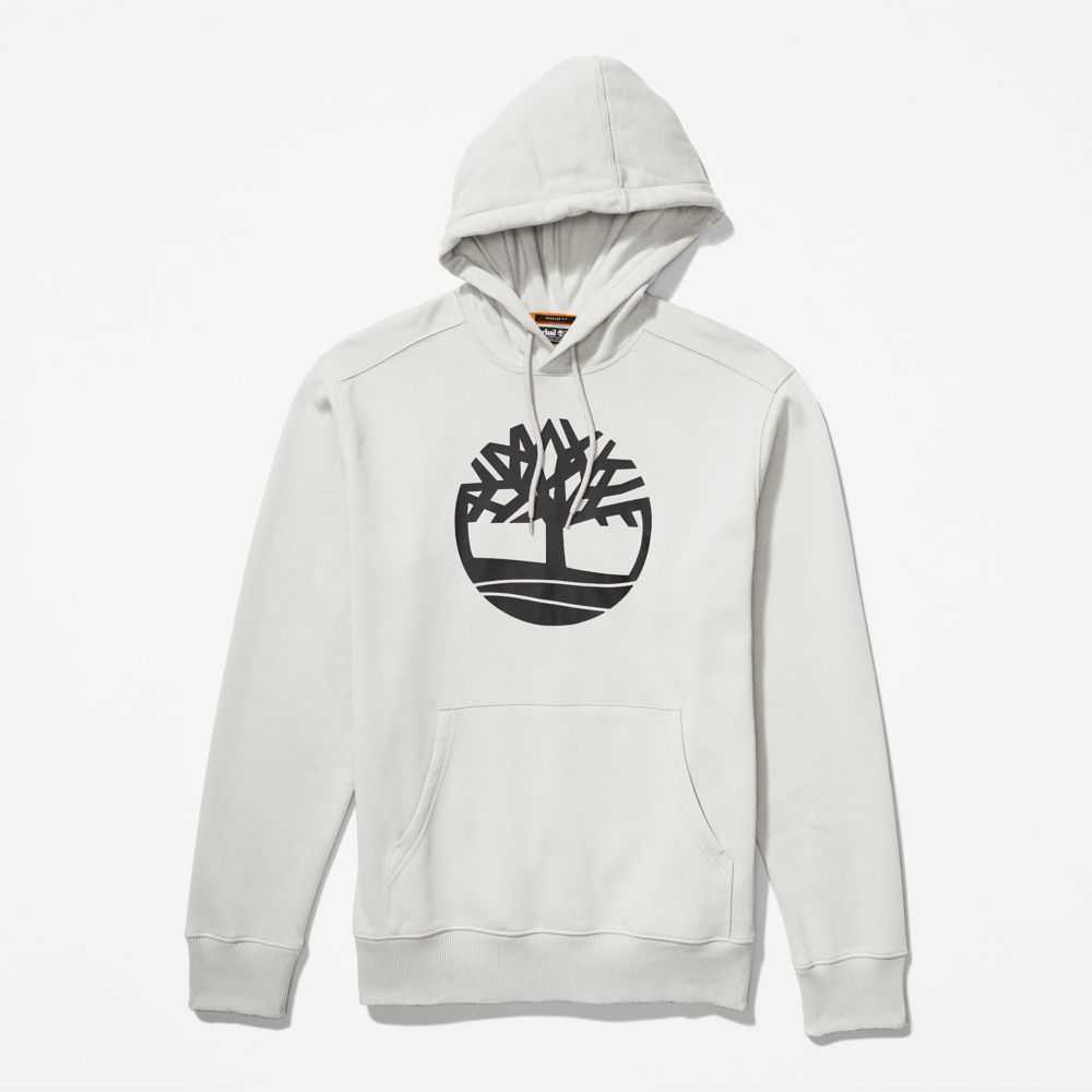 Timberland Tree Logo Albi | SN-TBL46175