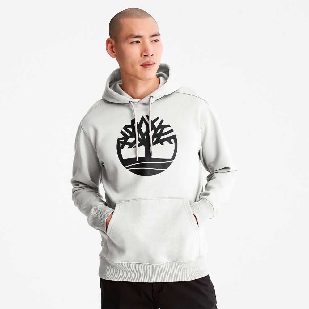 Timberland Tree Logo Albi | SN-TBL46175