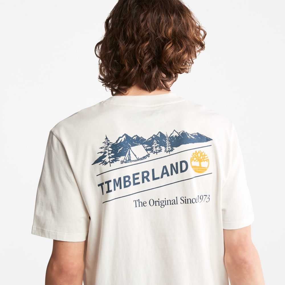Timberland Utility Albi | SN-TBL46137