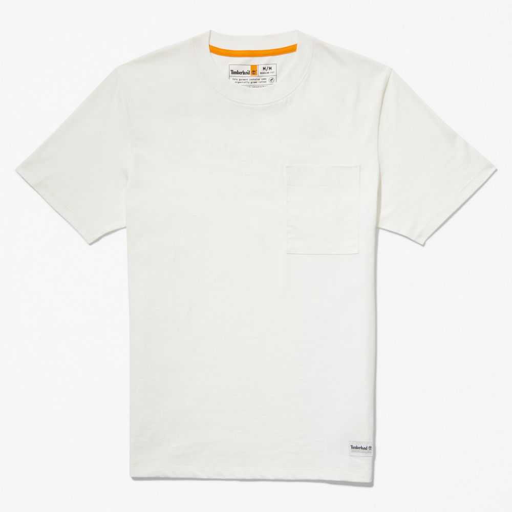 Timberland Utility Albi | SN-TBL46137